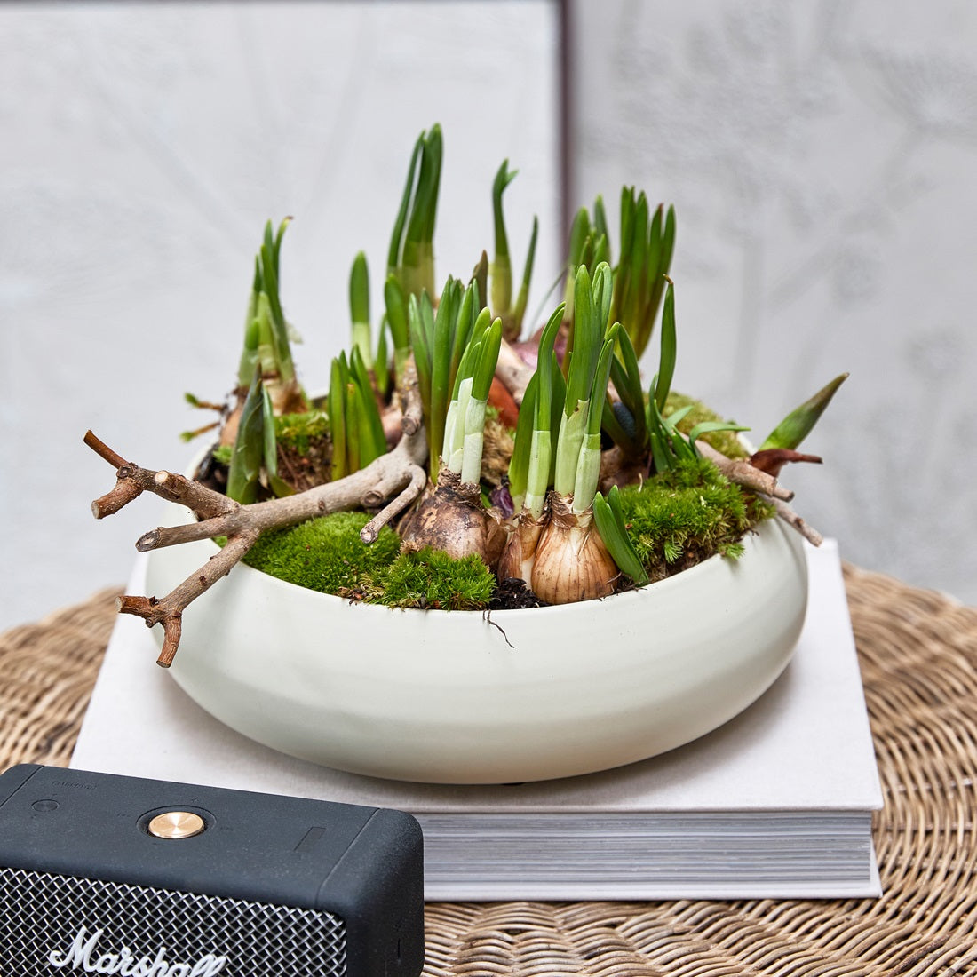 Serveerschaal CLEMENT